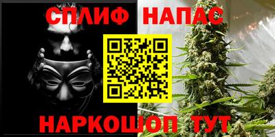 прущие крисы Бийск