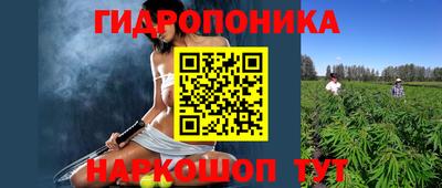 прущие крисы Бийск