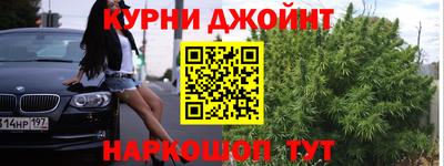 прущие крисы Бийск