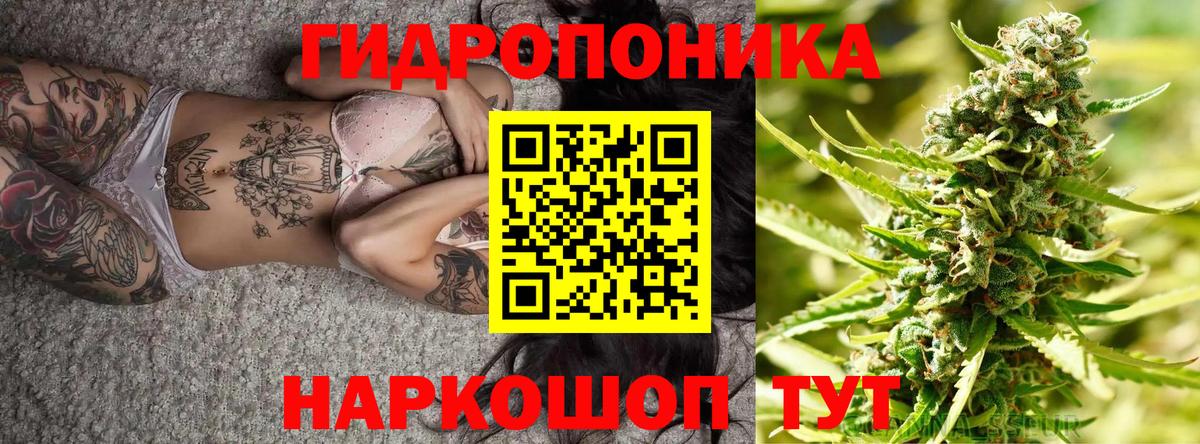 Бошки Шишки план  Вход с VPN  Канабис LSD WEED  Богородск  Конопля марихуана 